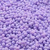 Macaron Color Opaque Frosted Glass Seed Beads SEED-K009-12B-14-3