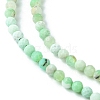 Natural Chrysoprase Beads Strands G-F748-X01-03B-4