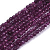 Natural Ruby Beads Strands G-N328-034-1