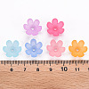 Frosted Acrylic Bead Caps X-MACR-S371-07A-4