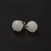 Glass Charms X-GLAA-Q092-05-3