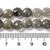 Natural Labradorite Beads Strands G-T047-A18-01-5