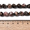Natural Rhodonite Beads Strands G-Z119-A19-03-6
