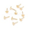 Star Brass Head Pins KK-U051-02G-02-2