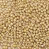 8/0 Glass Seed Beads X1-SEED-A017-3mm-1107-2