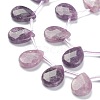 Natural Lepidolite/Purple Mica Stone Beads Strands G-B016-06-3