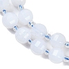 Natural Blue Chalcedony Beads Strands G-G182-B30-03-4