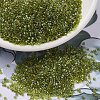 MIYUKI Delica Beads SEED-X0054-DB2377-1