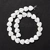 Natural Trochid Shell/Trochus Shell Beads SSHEL-O001-27D-2