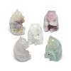 Natural Fluorite Sculpture Display Decorations G-F719-55B-1