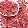 Transparent Inside Colours Glass Seed Beads SEED-A032-04J-1