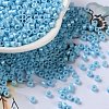 Baking Paint Glass Seed Beads SEED-S042-15A-10-1