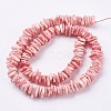 Natural Sea Shell Beads Strands BSHE-K012-08D-2