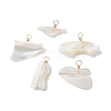 Natural Trochid Shell Pendants PALLOY-JF02809-02-1