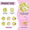 30Pcs Handmade Gold Sand Lampwork Beads LAMP-TA0002-37E-3