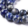 Natural Lapis Lazuli Round Bead Strands X-G-E262-01-10mm-6