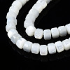 Natural Trochid Shell/Trochus Shell Beads Strands SSHEL-S266-016A-02-3