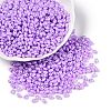 Opaque Colours Luster Glass Seed Beads SEED-T006-02D-3