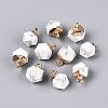 Natural Howlite Pendants G-N359-18G-14-1