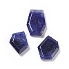 Natural Sodalite Pendants G-C002-01D-1