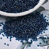 MIYUKI Delica Beads SEED-MY11-DB1763-1
