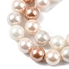 Shell Pearl Beads Strands BSHE-XCP0001-19-3