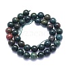 Natural Bloodstone Beads Strands G-K310-C04-8mm-2