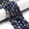 Natural Sodalite Beads Strands G-G146-A03-01-2