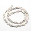 Natural Howlite Beads Strands G-F465-05-2