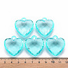 Transparent Acrylic Pendants LS-TACR-T024-03B-946-4