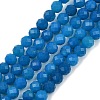 Natural Blue Agate(Dyed & Heated) Beads Strands G-R009-A02-01-2