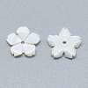 Freshwater Shell Beads SHEL-S275-033-2