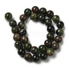 Natural Chrysoprase Beads Strands G-H298-A09-05-3