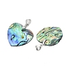 Natural Abalone Shell/Paua Shell Pendants X-SSHEL-M024-01-3