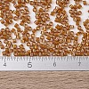 MIYUKI Delica Beads X-SEED-J020-DB1734-4