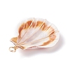 Natural Scallop Shell Pendants PALLOY-JF01209-4
