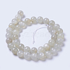 Natural Moonstone Beads Strands G-F568-228-10mm-2