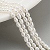Natural Cultured Freshwater Pearl Beads Strands PEAR-P062-01H-2