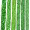 Electroplate Glass Beads Strands LS-EGLA-A044-T4mm-A11-2
