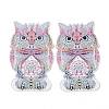 5D DIY Owl Pattern Animal Diamond Painting Pencil Case Ornaments Kits DIY-C020-01-3