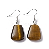 Natural Tiger Eye Trapezoid Dangle Earrings EJEW-D188-02P-04-1