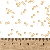 TOHO Round Seed Beads X-SEED-TR08-0923-4