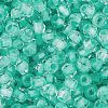 Glass Seed Beads SEED-A032-05M-3