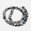 Natural Abalone Shell/Paua Shell Beads Strands X-SSHEL-G003-5-10x3mm-2