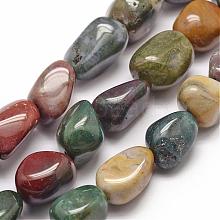 Natural Indian Agate Beads Strands G-P301-14