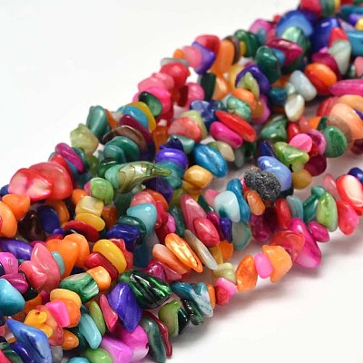 Natural Chip Dyed Shell Bead Strands G-L454-10-1