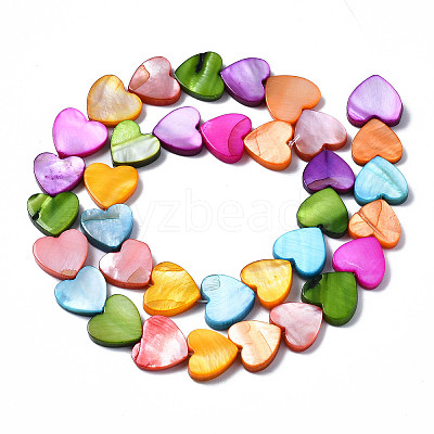 Natural Freshwater Shell Beads Strands X-SHEL-S278-024B-1