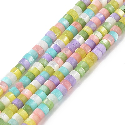 Natural Trochid Shell/Trochus Shell Beads Strands BSHE-H018-04-1