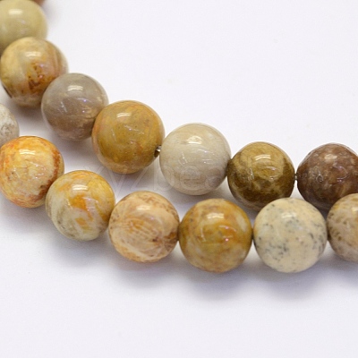Natural Fossil Coral Beads Strands G-G697-F01-4mm-1