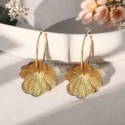 Alloy Hoop Earrings FS-WG33705-01-1